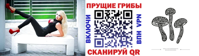 Псилоцибиновые грибы Magic Shrooms  МЕГА как войти  Касимов  магазин продажи наркотиков 